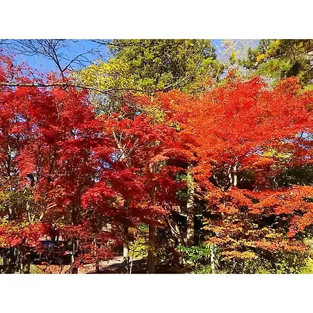 Tomareru Sento Taka No Yu - Vacation Stay 00567V Takayama  Exterior photo