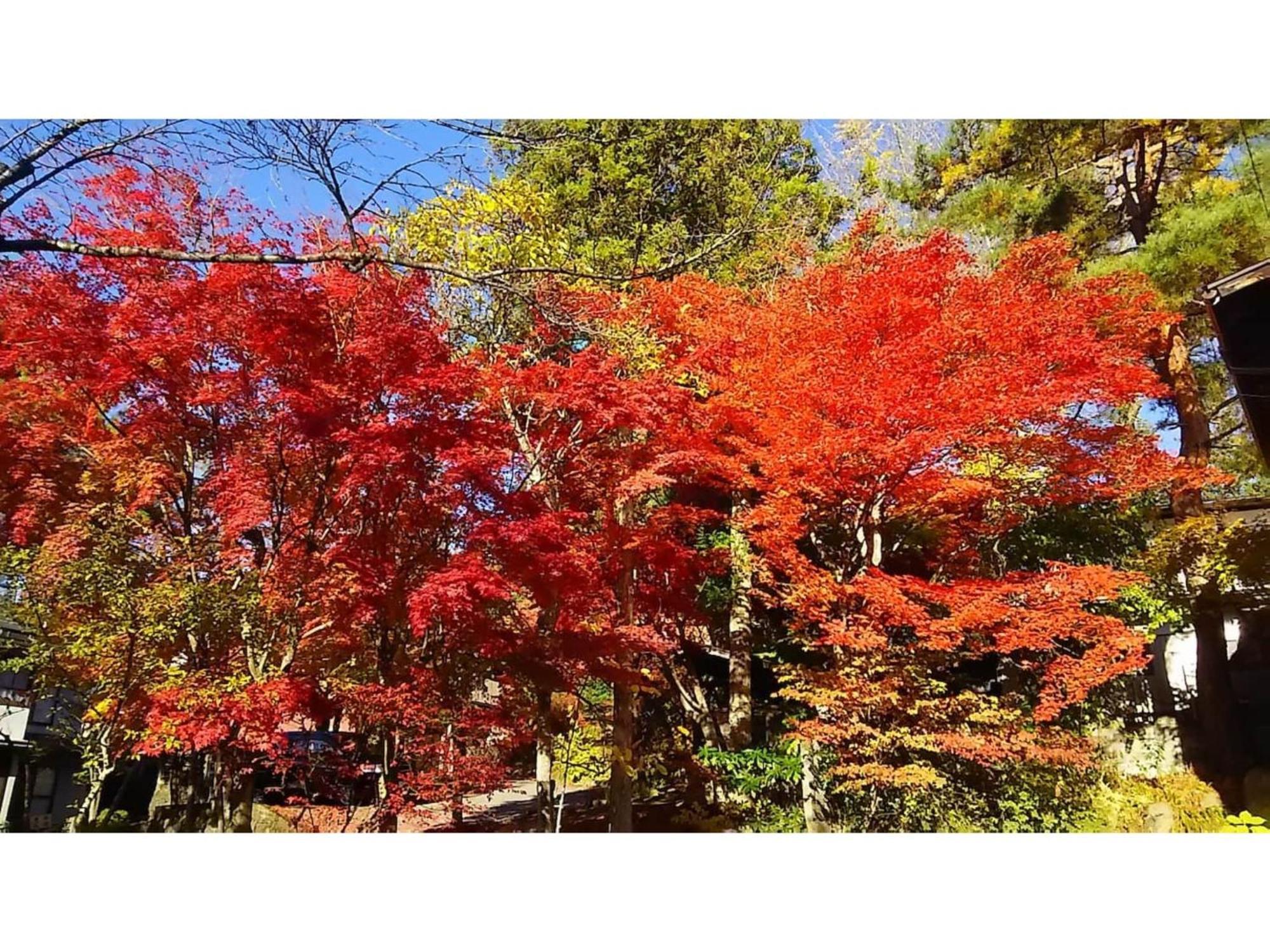 Tomareru Sento Taka No Yu - Vacation 00567v Holiday home Takayama (Gifu)